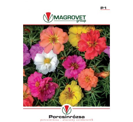 Portulaka nízka - zmes farieb